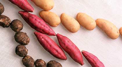 Что дало нам открытие Колумба?