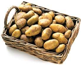 Что дало нам открытие Колумба?