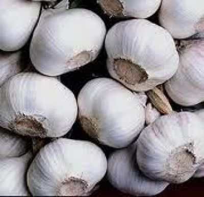 Эффективное лечение молочницы у женщин и мужчин поликлиника Wikimed