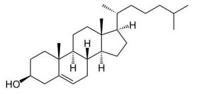 11 способов привести уровень холестерина крови в норму