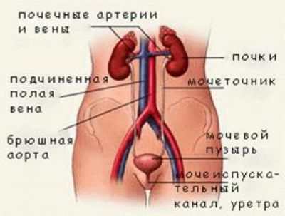 Боли внизу живота