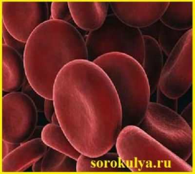 Повышенный гемоглобин, чем он опасен, и как с ним бороться : гематология : Журнал о женском здоровье - Wm-Health