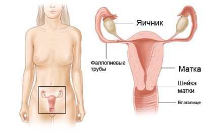 СИМПТОМЫ МОЛОЧНИЦЫ У ЖЕНЩИНЫ