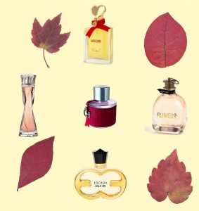 Аромат золотой осени