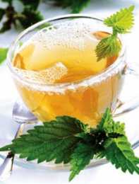 Добрая сила юной крапивы