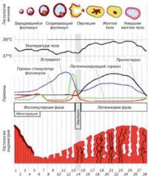 Все ли мы знаем о самих себе?