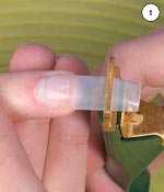 Фото-урок маникюра и росписи на ногтях: Кружевные ногти