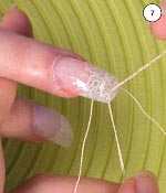 Фото-урок маникюра и росписи на ногтях: Кружевные ногти