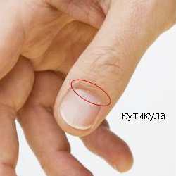 О пользе масла для кутикулы