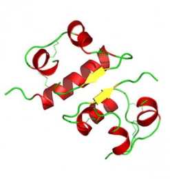 Обмен веществ