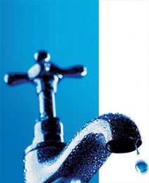 Не дай себе засохнуть!