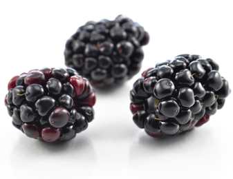 8 самых полезных добавок к чаю